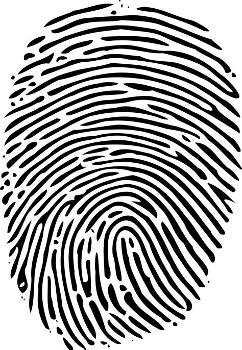 Fingerprint Png