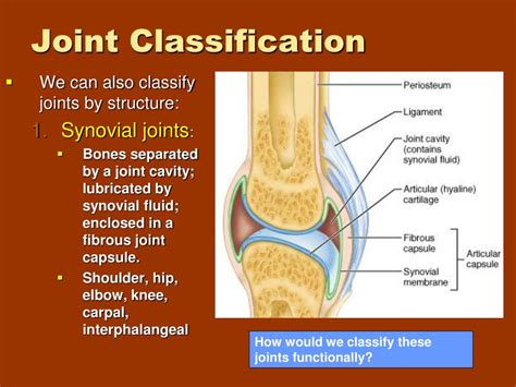 Ppt Joints Powerpoint Presentation Free Download Id3772670