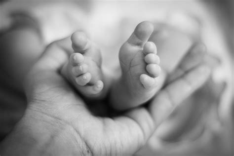 Baby Feet Hand Black And White Free Image Download