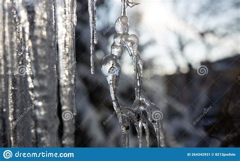 Icicles And A Drop Of Melt Water Close Up Snow Melting Stock Image