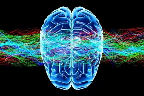 Is Quantum Physics Behind Your Brains Ability To Think Brain