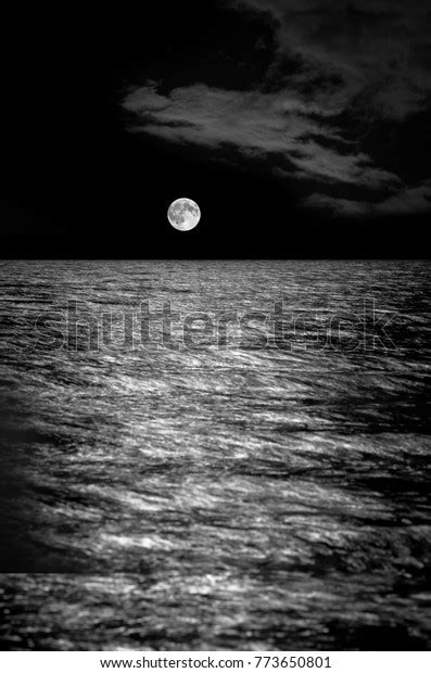 Full Moon Over Sea Images Search Images On Everypixel