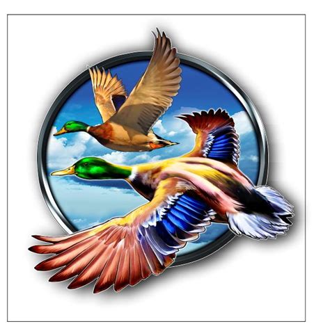 Flying Mallard Ducks Sticker Decal Free Shipping Vinyl Junkie