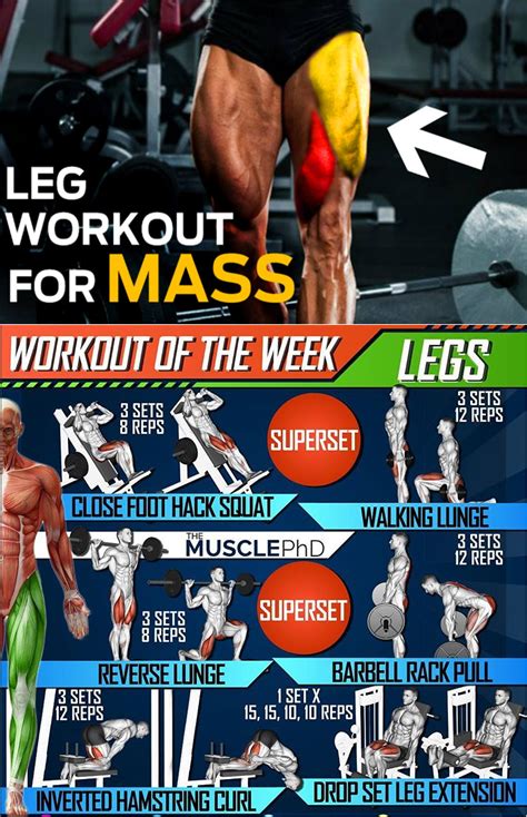 Leg Workout For Mass Guide And Video