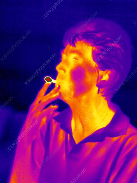 smoking thermogram stock image m370 1040 science photo library
