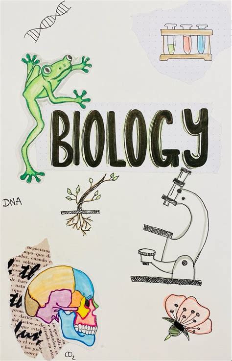 Biology Projects Biology Art Notebook Cover Design Notebook Covers