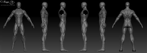 Male 3d Anatomy Template By Shintenzu On Deviantart 3d Anatomy