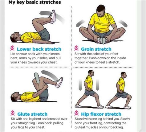 👍 ️basic Stretches You Should Know ️👍 Musely