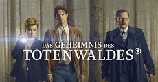 Review: „Das Geheimnis des Totenwaldes“ (Miniserie) - Mord verjährt ...