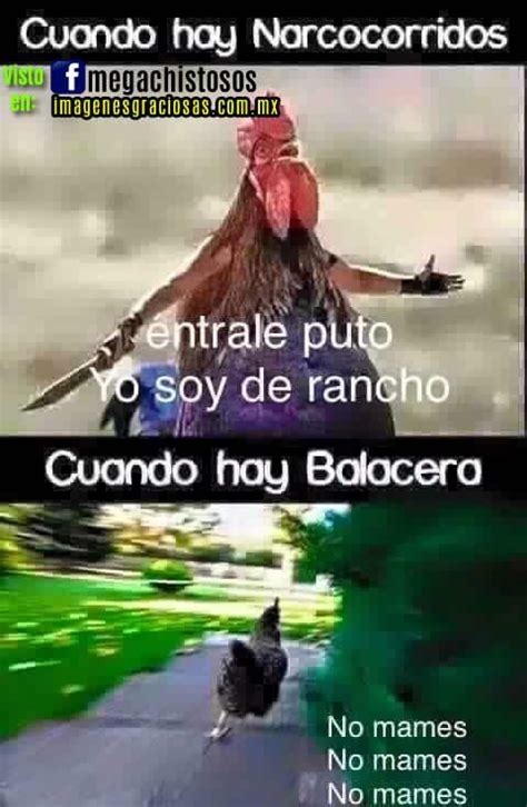 Imagenes Chistosas Con Frases Para Reirse Mucho Jaja Frases Para