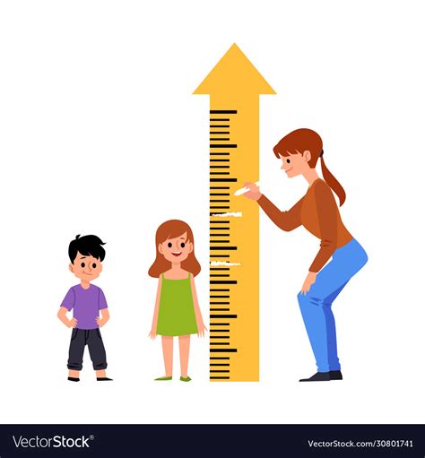 Kindergarten Or Preschool Children Measure Height Vector Image