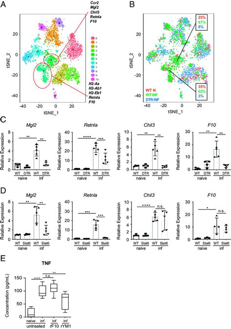 Ccr2 Monocytes And Monocyte Derived Cells Express Immunoregulatory