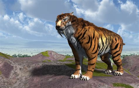 Sabre Toothed Tiger Wallpapers Images Photos Pictures Backgrounds