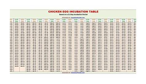 guinea egg incubation chart