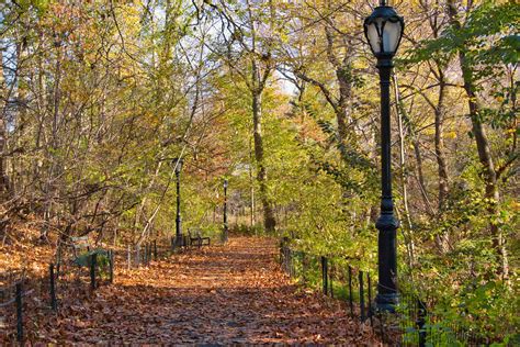 The Ramble Of Central Park Complete Guide Trails Map And More