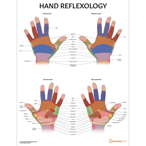 free chart sexual hand reflexology telegraph