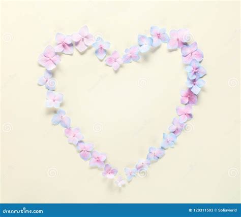 Heart Symbol Made Of Flower Petals Stock Image Image Of Heart Plant