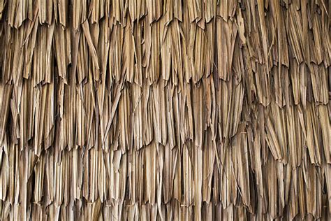 3600 Thatched Roof Texture Stock Photos Pictures And Royalty Free