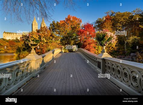 Fall In Central Park At The Lake With The Bow Bridge Sunrise View With