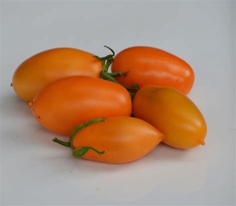 Orange Icicle Tomato Seeds