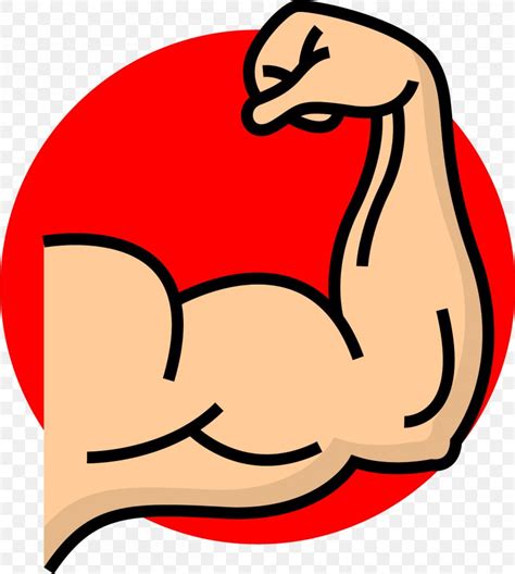 Muscle Symbol Arm Biceps PNG X Px Muscle Area Arm Art Artwork Download Free