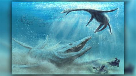 Remains Of A Massive Jurassic Sea Monster Found In A Polish Cornfield
