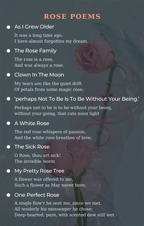 Rose Poems Best Poems For Rose