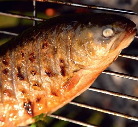 Herb Stuffed Brook Trout Delicious Low Carb Recipes