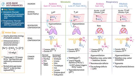 Physiology Alkalosis And Acidosis Draw It To Know It