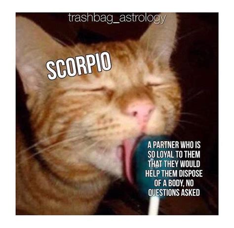 Scorpio Memes In Celebration Of The Lustiest Darkest Sign Memebase