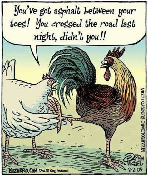 Pin By Kim Wendt On Chiks Chicken Humor Chicken Jokes Funny Cartoons