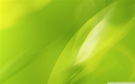 Lime Green Background 47 Images