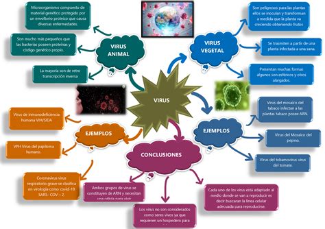 Mapa Mental 8 Mapa Mental De La Biologia Introduccion Virus Virus