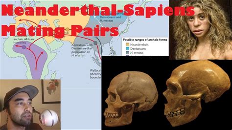 Additional Mating Pairs Of Neanderthals And Modern Humans Discovered