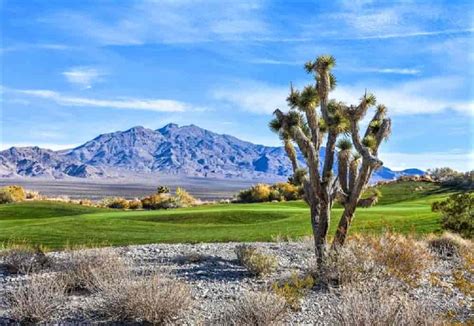 The Best Las Vegas Golf Courses Eagle Golf Tours