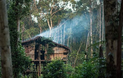 Daerah Penghasil Hutan Di Indonesia Chasehiramezekiel