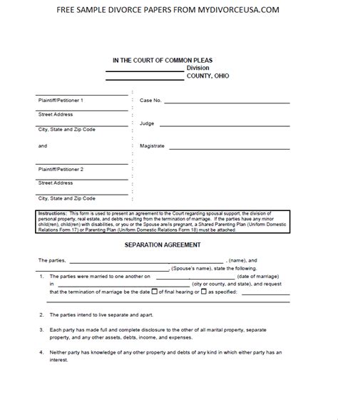 What is included in a divorce petition? Printable Online Ohio Divorce Papers & Instructions