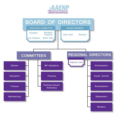 Board Of Directors Organization Chart