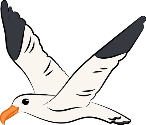 Seagull Outline Clipart Images