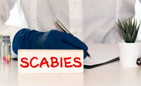 Scabies Photos Stock Photos Pictures And Royalty Free Images Istock