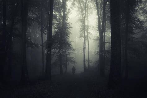 Ghost On Halloween In Mysterious Dark Forest With Fog Stock Photo