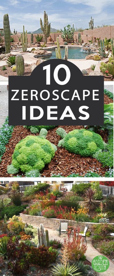 10 Beautiful Xeriscape Yards Gardenlovin Zeroscape Landscaping
