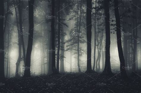 Dark Haunted Forest At Night Containing Dark Forest And Fog Haunted