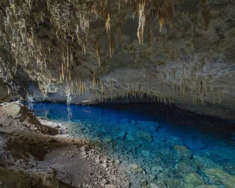 Bonito Excursão Gruta Do Lago Azul Getyourguide