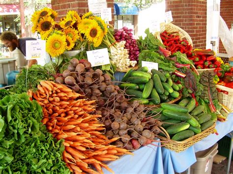Harvest Festival Food and Craft Market: Applications Now Open - Metal