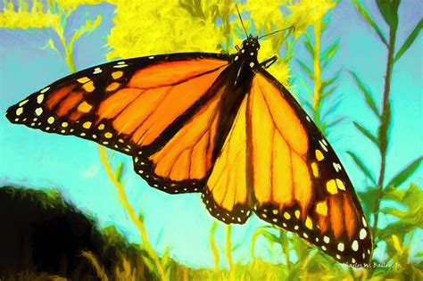 Digital Pastel Drawing Of A Monarch Butterfly Charles W Bailey Jr