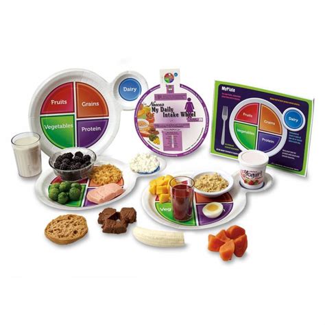 Nasco Lifeform Mini Myplate Food Replica Kit