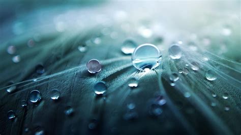 Macro Photo Drops Of Water Close Up Hd Wallpaper