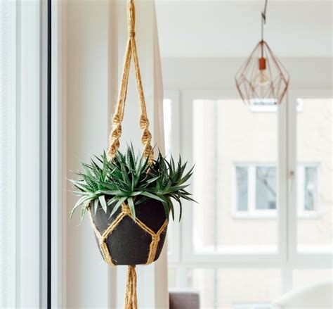 How To Hang Plants From The Ceiling Without Drilling 12 Clever Tips