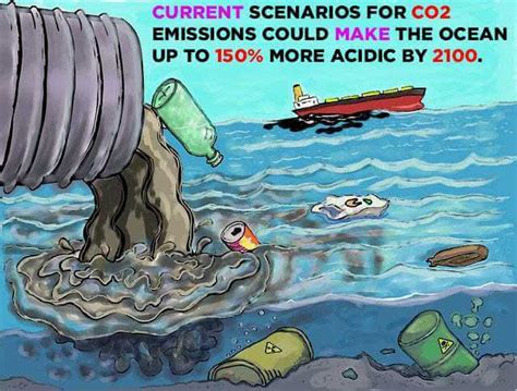 Impacts Of Ocean Acidification On Marine And Humans Life Earth Reminder